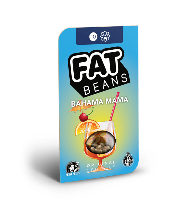 Bahama Mama Automatic Hanfsamen Blue Kush x Lowryder – Bild 2