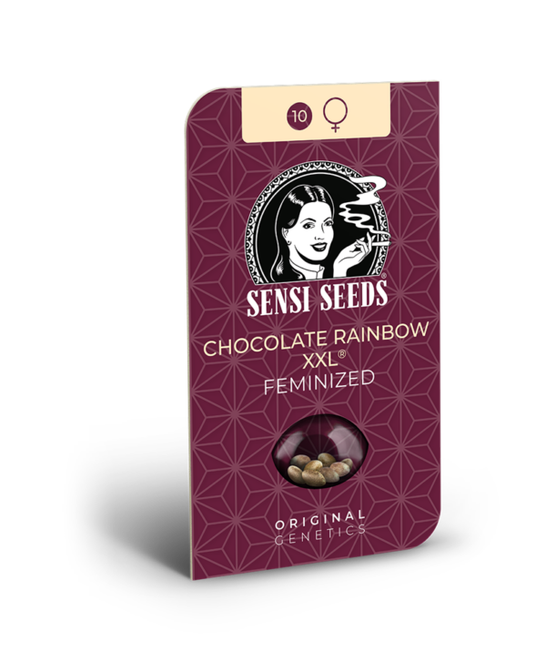 Chocolate Rainbow XXL Feminisiert – Bild 2